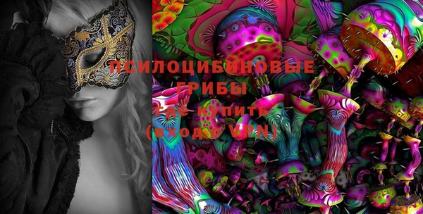 не бодяженный Лабытнанги