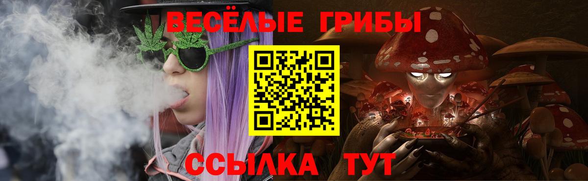 Псилоцибиновые грибы мицелий  Псилоцибиновые грибы прущие грибы  Вход с VPN  Минусинск 